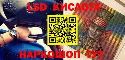 дживик Кингисепп