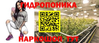 дживик Кингисепп