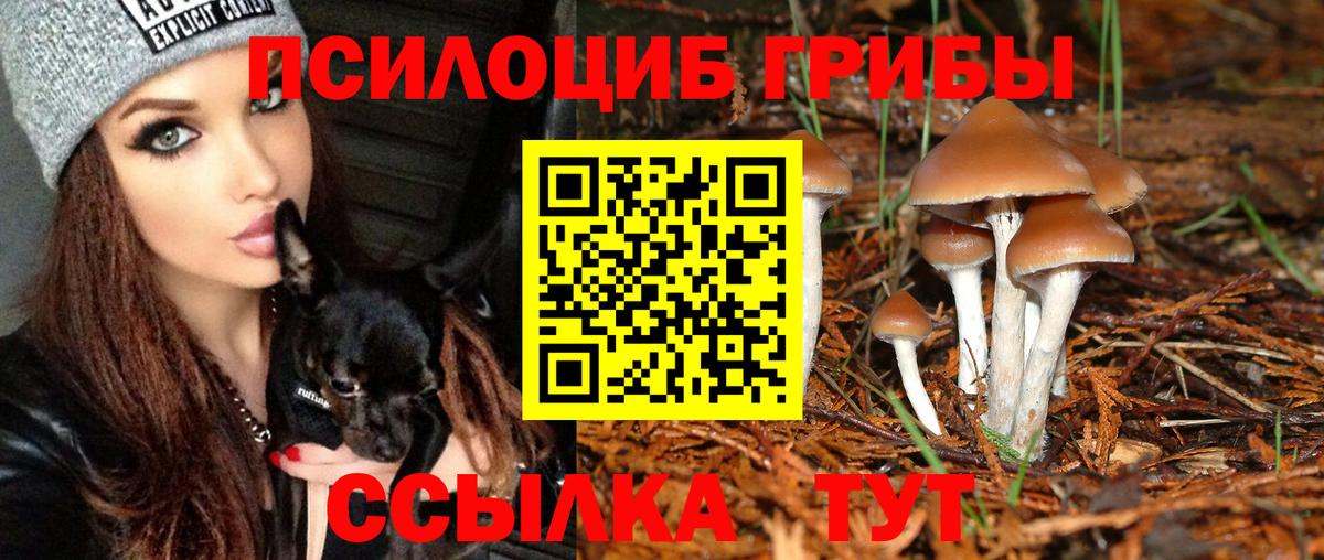 Галлюциногенные грибы MAGIC MUSHROOMS Красноярск
