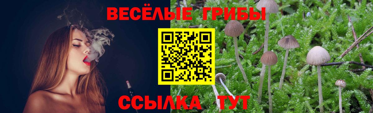 Галлюциногенные грибы Psilocybe  Галлюциногенные грибы Magic Shrooms  наркошоп  Вход с VPN  Красноярск 